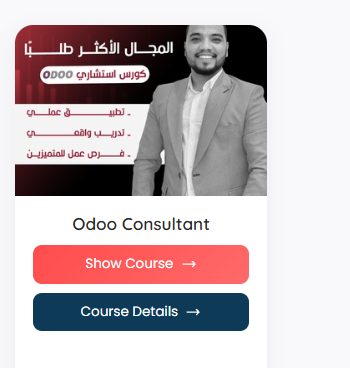 R 46 - Odoo Application Consultant V 20 - AI